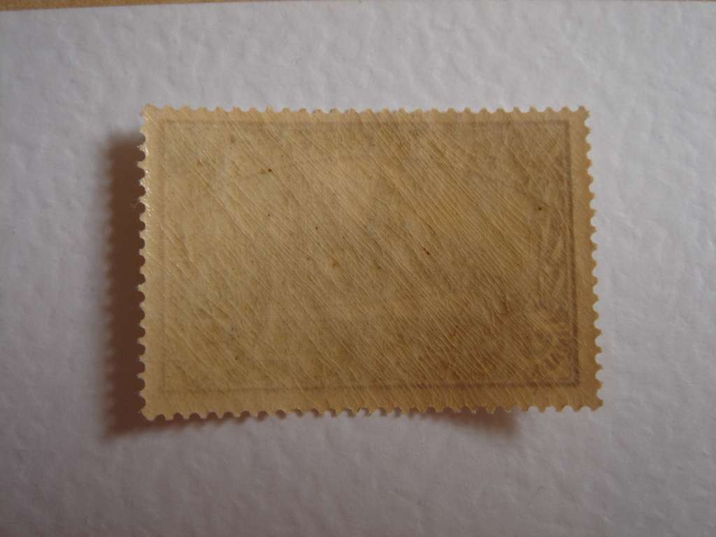 1901 Deutsche Kolonien - Deutsch SWA MiNr 22 MNH