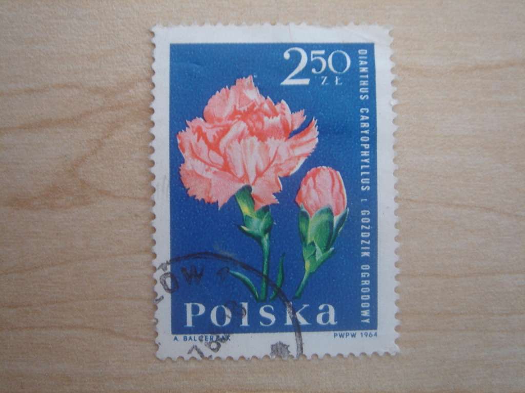 1964 Polska Rose 2.50 ZL used, stamped