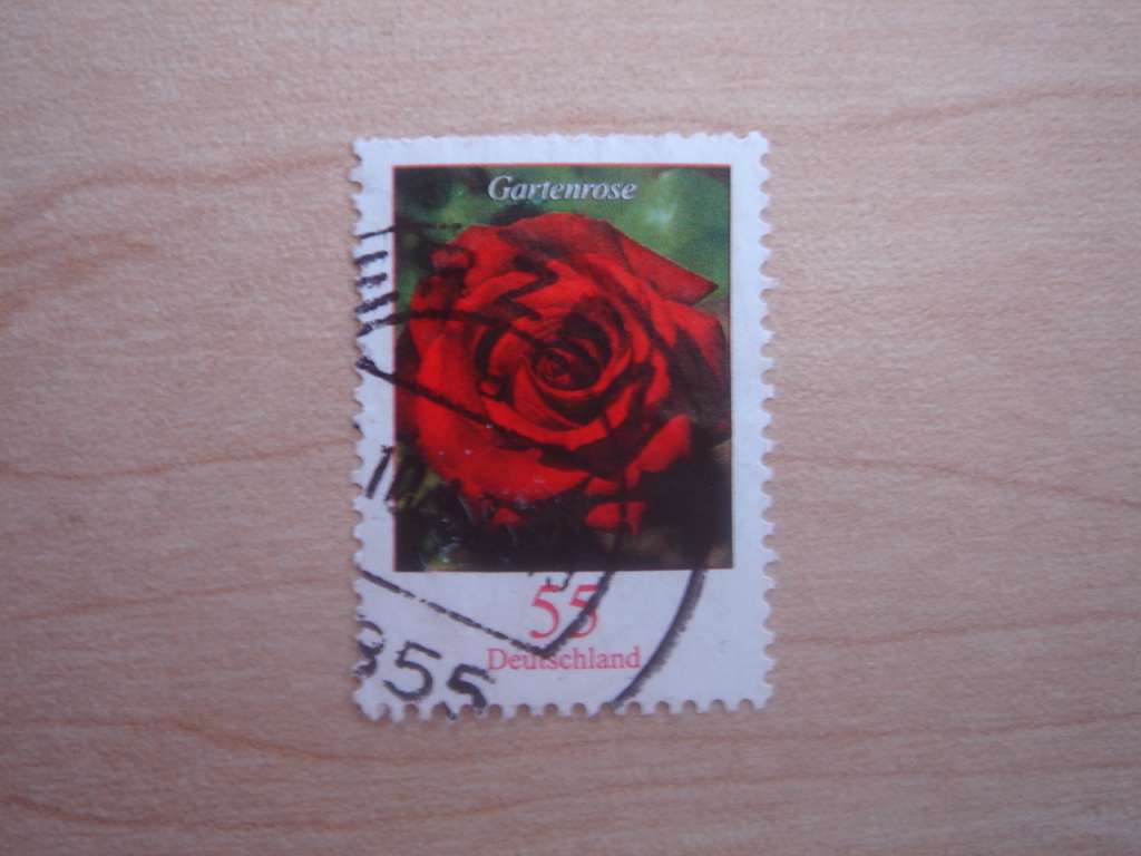 2008 Deutschland MiNr 2669 used, stamped