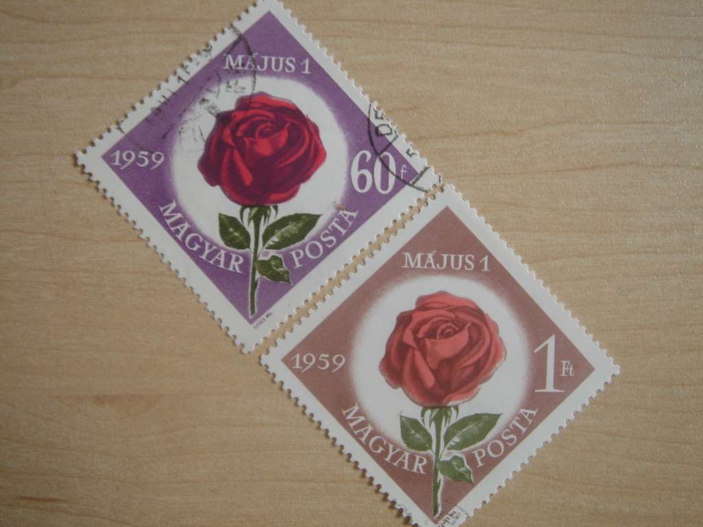 1959 Hungary - May Day - Roses 60, 1 Ft used, stamped
