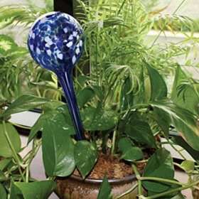 Aqua Bulb - 2 Plant Watering Globes