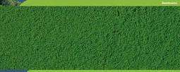 Hornby Skale Scenics - Medium Grass Green Tufts