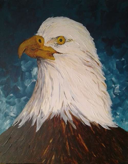 bald headed eagle