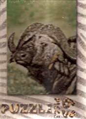 BUFFALO PUZZLE