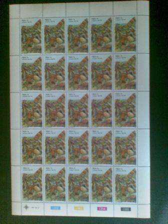 RSA 1981 AMAJUBA 5c MINT FULL SHEET WITH VARIETY
