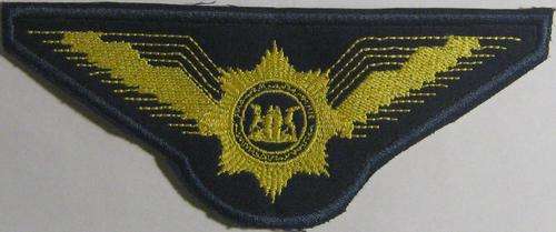 AIRFORCE BADGE