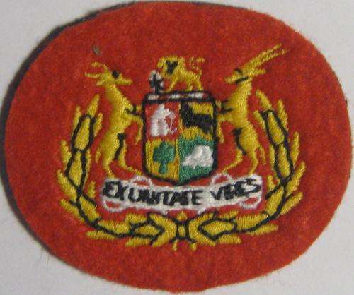 EX UNITATE VIRES BADGE