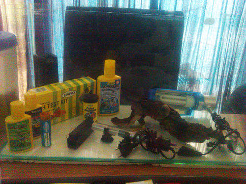 60L fish tank with items for startup