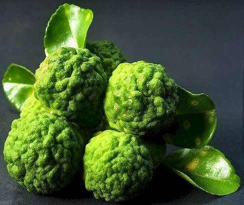 Essential oils - bergamot