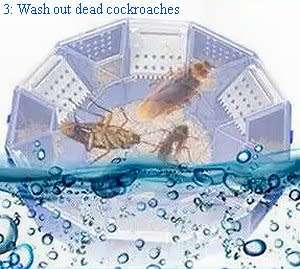 Cockroach traps - Type 1
