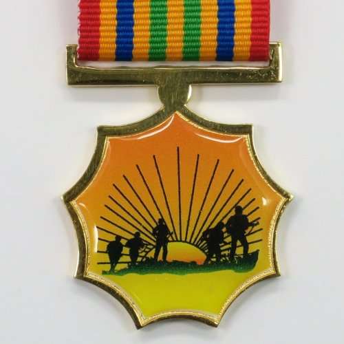 Full Size: South African Medal.  Department of Military Veterans. Gold.