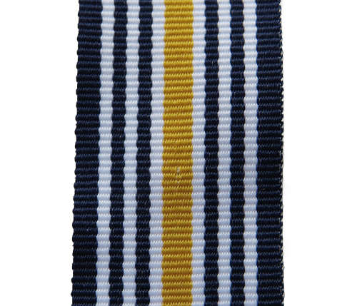 Full size - SAP Bravery Matt Silver. 15 CM. New Medal Ribbon