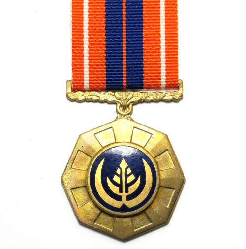 Full Size Medal - SA Pro Patria Third Type #130620