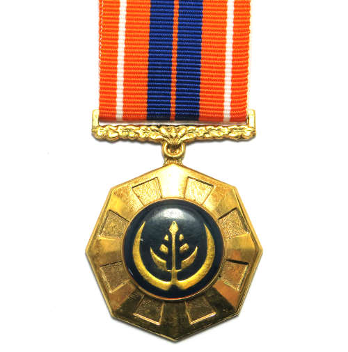 Full Size Medal - SA Pro Patria Fifth Type #227586