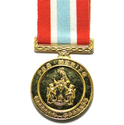 Full Size Medal - Ciskai Pro Merito