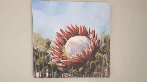 Stan Polson " deconstruct "series.King  Protea.