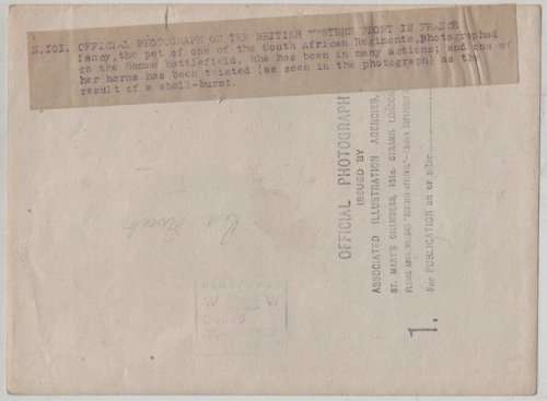 Official Photograph Of The British Western Front In France N101.