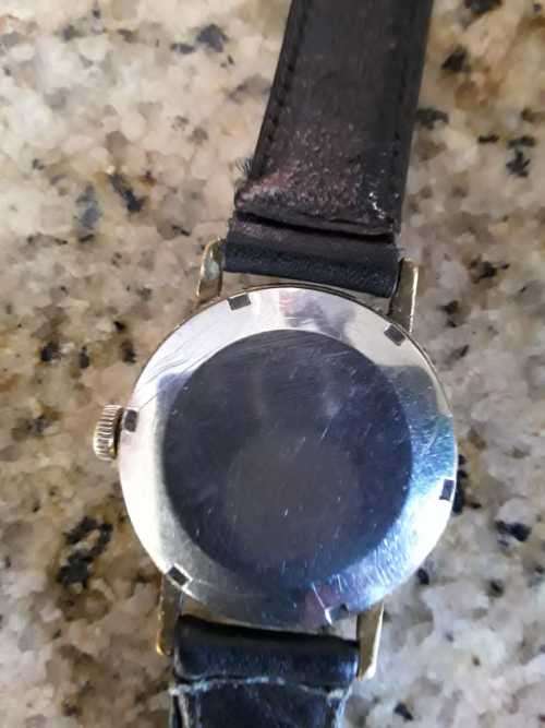 Rotary vintage champion