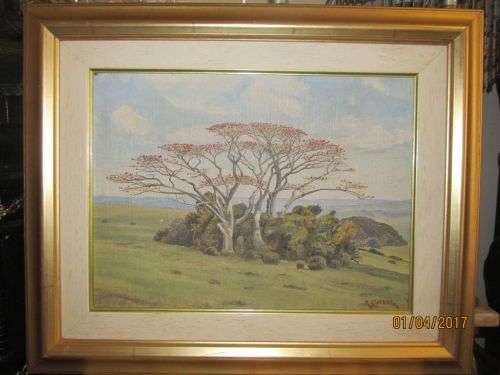 R.S WYNNE !! Framed Oil on Board - Landscape Art - International Artist