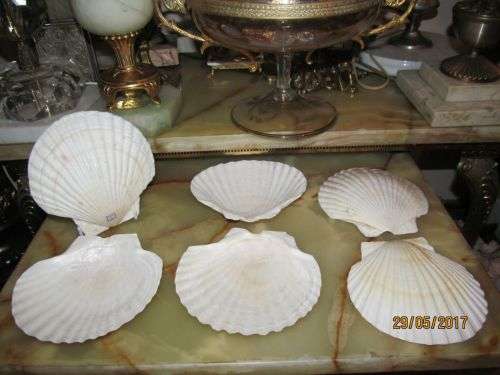 POSEIDON ADVENTURE !! Vintage Set of Six Genuine Scallop Shell Dishes - Made in Japan