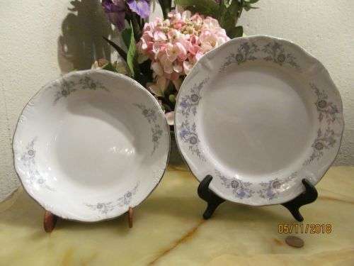 PLATINUM ELEGANCE !! Vintage Lot/Set of Constantia Fine China Salad Bowl & Plate