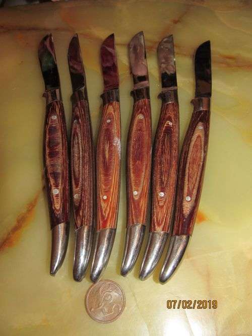 A CUTTING EDGE !! Contemporary Set/Lot of Six Super Sharp Unused Steak/Braai Knives - Wood Handles