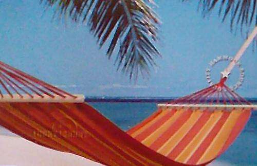 HAMMOCKS