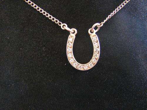 Silver Necklace with Horseshoe shaped pendant