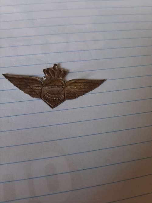 junior KLm Royal Dutch Airline badge