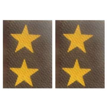 S.A.D.F LIEUTENANT RANKS WITH VELCRO BACKING - PAIR.