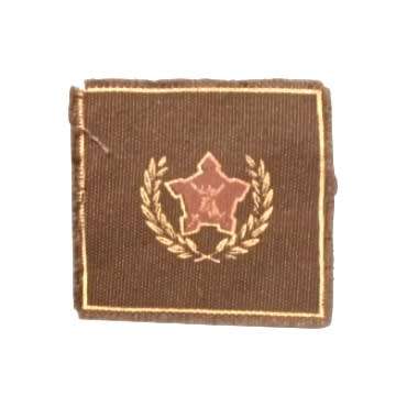 S.A.D.F 5 YEAR VOLUNTEER CLOTH (BREAST) BADGE.
