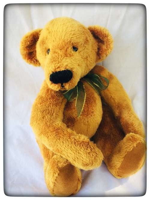 HAND MADE TEDDY BEAR