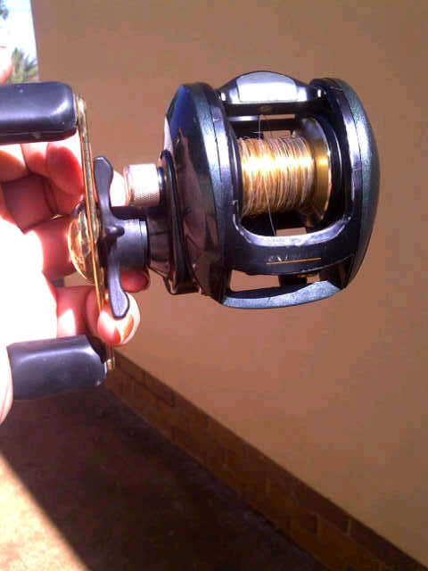 Bass pro shops baitcaster