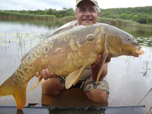 Specimen Carp Traces - Catch the carp of your dream!!