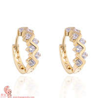 FASHION  CUBIC ZIRCONIA HOOPED EAR RINGS