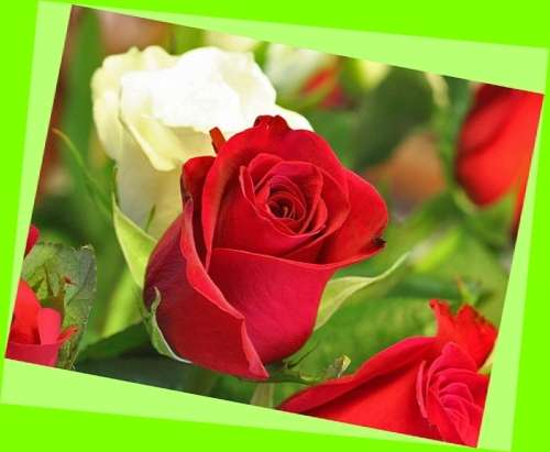 ****CLEARANCE SALE**** 800+ Quality glass beads + Findings+ Wish Box Locket