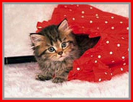 6539+ PIECE GLASS BEAD KIT