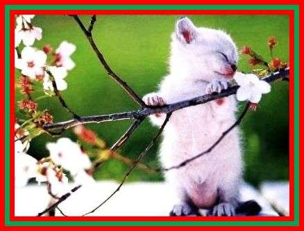 7938 PIECE HUGE BEAD VARIETY