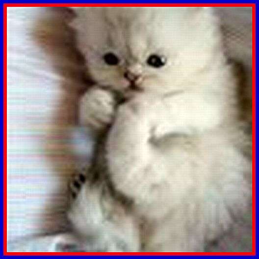 7654+ LARGE VARIETY BEADS AND ACCESSORIES