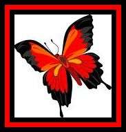 ***CLEARANCE SALE***  FINDINGS KIT