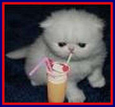 6226, PCS- BEAD VARIETY +++