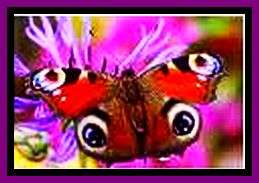 ***CLEARANCE SALE*** VARIETY BEAD KIT