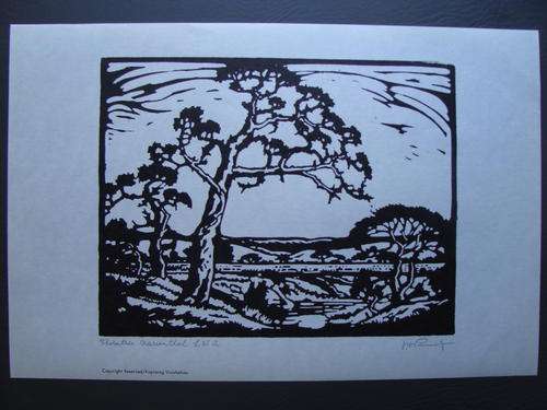 J.H. Pierneef - "Thorntree Marienthal S.W.A"