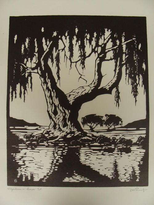 J.H. Pierneef - "Wilgerboom in Somer Tol" [Large print]