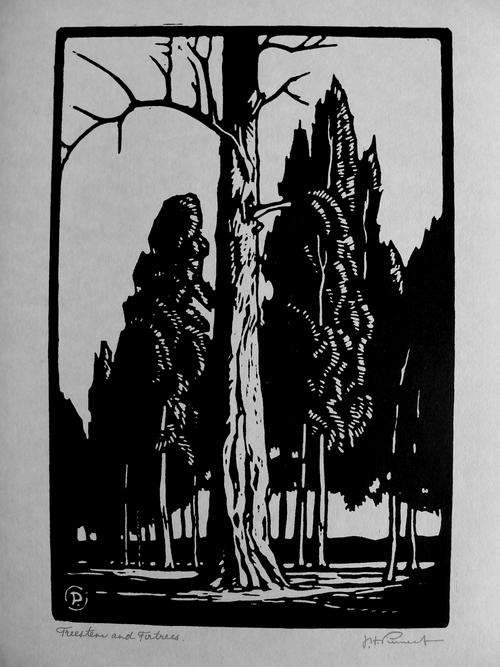 J.H. Pierneef - "Treestem and Firtrees"