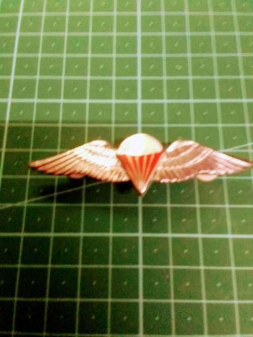 SA FREE FALL PARA  WINGS