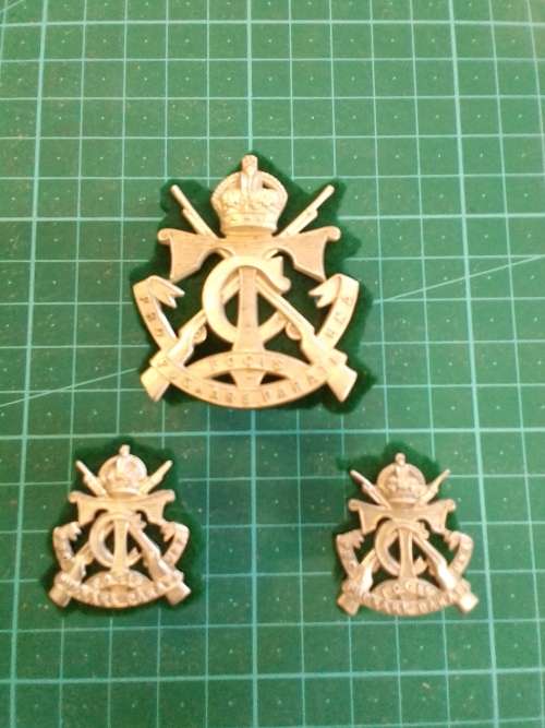TVL Cadet set of three badges.