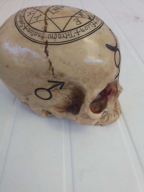 RESIN ENGRAVED SKULL