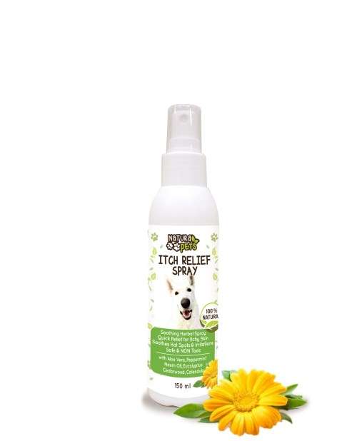 Natural Itch Relief Spray
