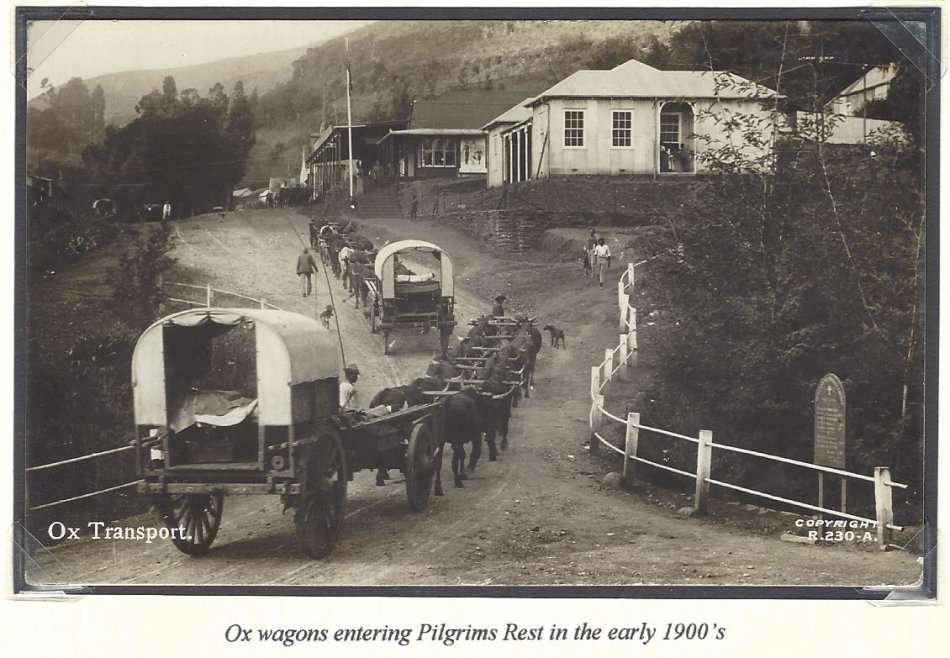 Transvaal: Scarce unused PILGRIMS REST postcard.